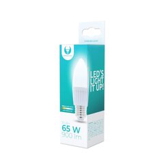 LED bulb E27 C37 10W 230V 3000K 900lm ceramic Forever Light цена и информация | Электрические лампы | pigu.lt