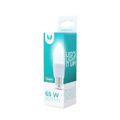 Forever Light led lemputė E27 C37 10W 230V 5900495839985 цена и информация | Электрические лампы | pigu.lt