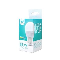 LED bulb E27 G45 10W 230V 6000K 900lm ceramic Forever Light цена и информация | Электрические лампы | pigu.lt
