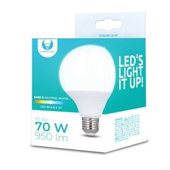 LED Bulb E27 G95 10W 230V 4500K 950lm Forever Light цена и информация | Электрические лампы | pigu.lt