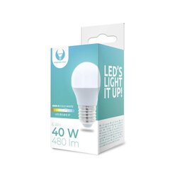 LED Bulb E27 G45 6W 230V 6000K 480lm Forever Light цена и информация | Электрические лампы | pigu.lt