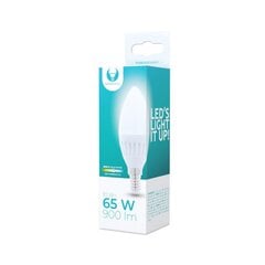 LED bulb E14 C37 10W 230V 6000K 900lm ceramic Forever Light цена и информация | Электрические лампы | pigu.lt