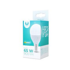 LED bulb E14 G45 10W 230V 6000K 900lm ceramic Forever Light цена и информация | Электрические лампы | pigu.lt