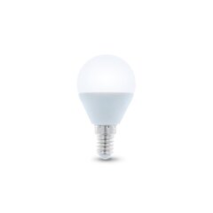 Forever Light led lemputė E14 G45 6W 6000K 5900495839862 kaina ir informacija | Elektros lemputės | pigu.lt