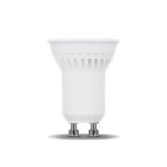 Forever Light led lemputė 3W 230V 3000K RTV003588 цена и информация | Электрические лампы | pigu.lt