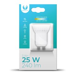 Forever Light led lemputė 3W 230V 6000K RTV003590 цена и информация | Электрические лампы | pigu.lt