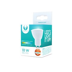 Forever Light led lemputė 1W 230V 4500K RTV003595 цена и информация | Электрические лампы | pigu.lt