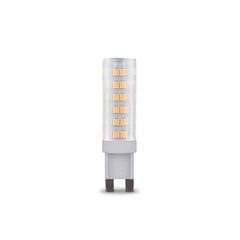 Forever Light led lemputė 6W 230V 6000K RTV003577 цена и информация | Электрические лампы | pigu.lt