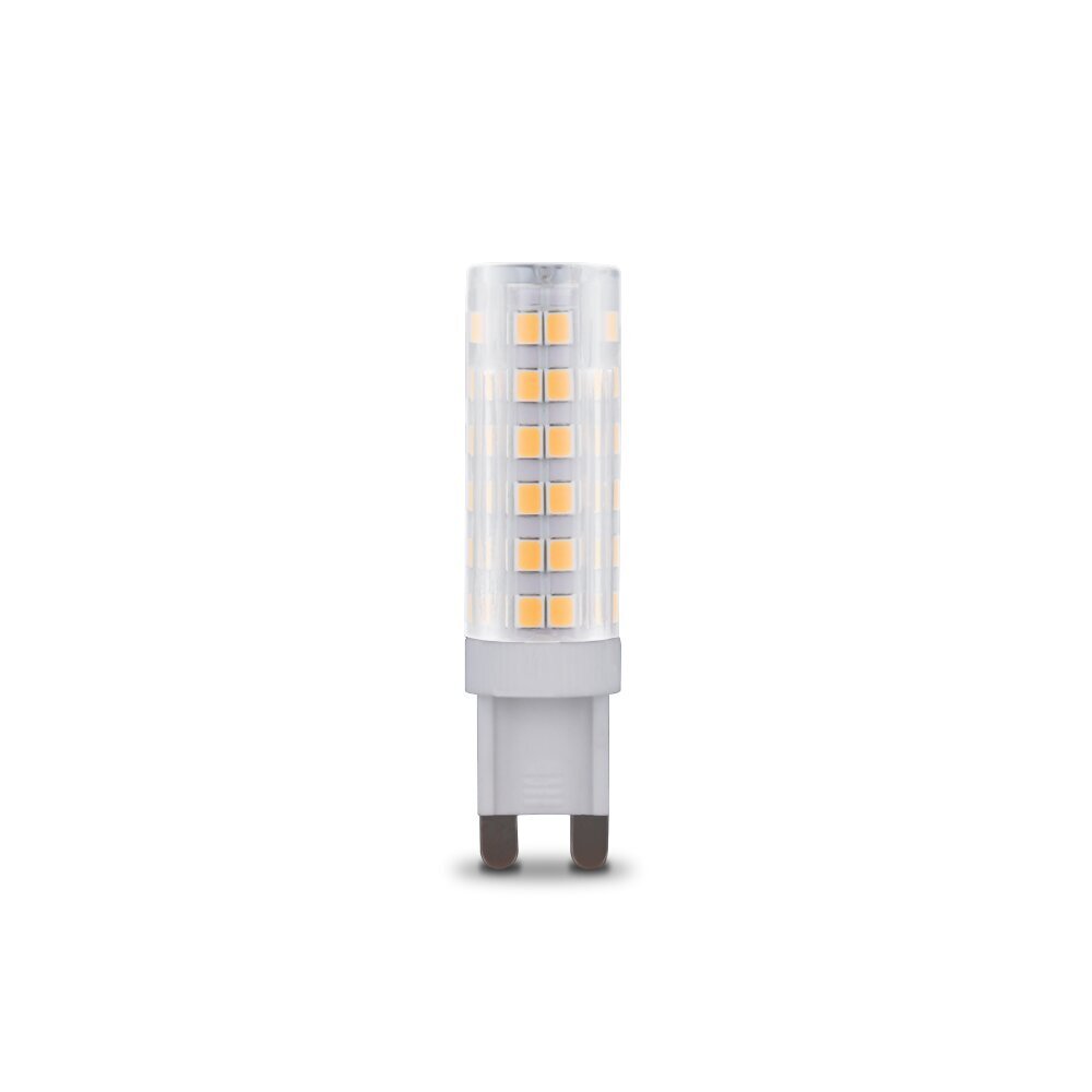 Forever Light led lemputė 6W 230V 6000K RTV003577 цена и информация | Elektros lemputės | pigu.lt