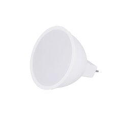 Forever Light led lemputė 3W 12V 6000K RTV0600003 цена и информация | Электрические лампы | pigu.lt