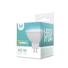 Forever Light led lemputė 6W 12V 6000K RTV0600006 цена и информация | Электрические лампы | pigu.lt