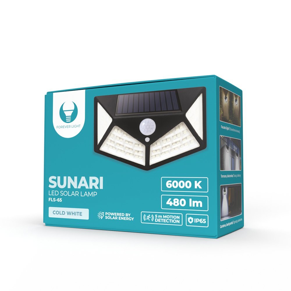 SUNARI Solar Lamp LED FLS-65 100*SMD PIR 6W 480lm 6000K 1200mAh Li-Ion Forever Light цена и информация | Lauko šviestuvai | pigu.lt