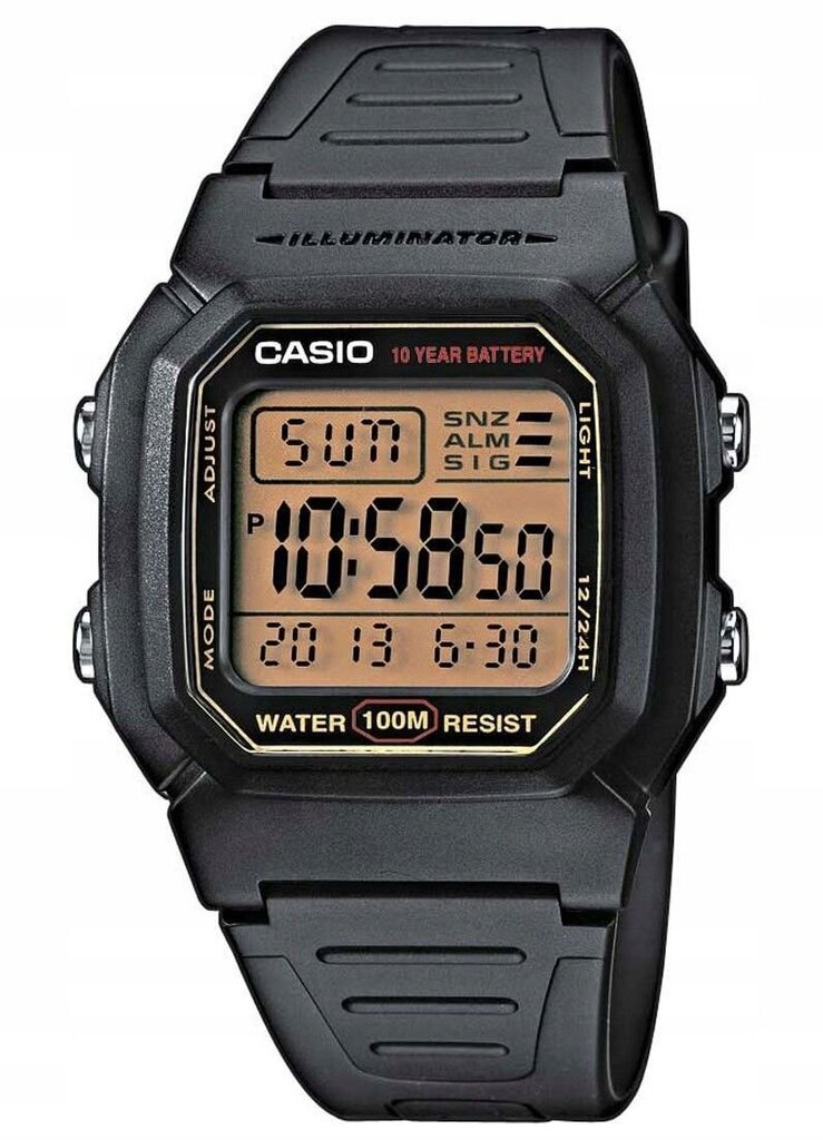 Laikrodis vyrams Casio W-800HG-9AVDF цена и информация | Vyriški laikrodžiai | pigu.lt