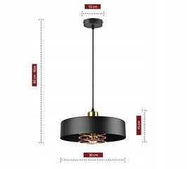 Потолочный светильник Led-lux, черный цена и информация | Потолочные светильники | pigu.lt