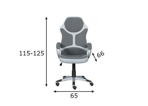 Žaidimų kėdė Interlink Physis, pilka/balta цена и информация | Biuro kėdės | pigu.lt