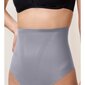 Kelnaitės moterims Triumph Shape Smart Highwaist String 7613139610793, pilkos kaina ir informacija | Kelnaitės | pigu.lt