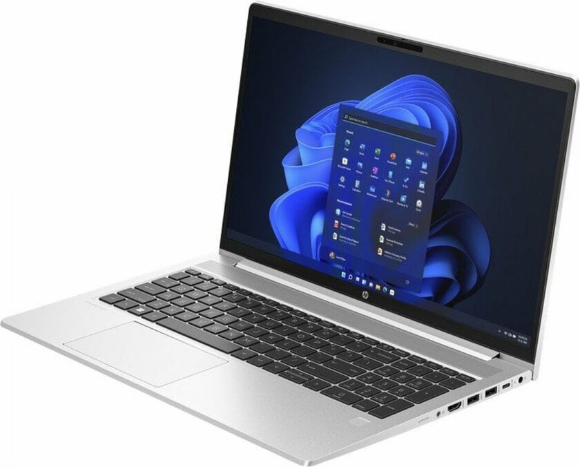 HP ProBook 455 G10 цена и информация | Nešiojami kompiuteriai | pigu.lt