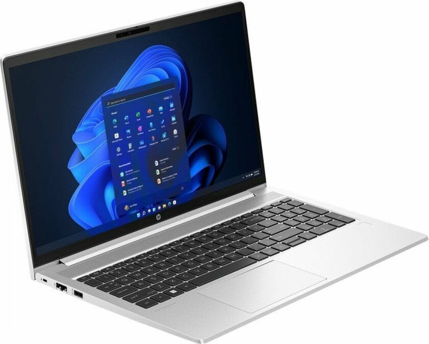 HP ProBook 455 G10 kaina ir informacija | Nešiojami kompiuteriai | pigu.lt