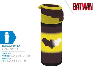 Batman kaina ir informacija | Žaidėjų atributika | pigu.lt