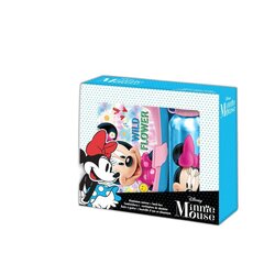 Minnie Mouse gertuvės ir pietų dėžutės rinkinys, 500ml цена и информация | Посуда для хранения еды | pigu.lt