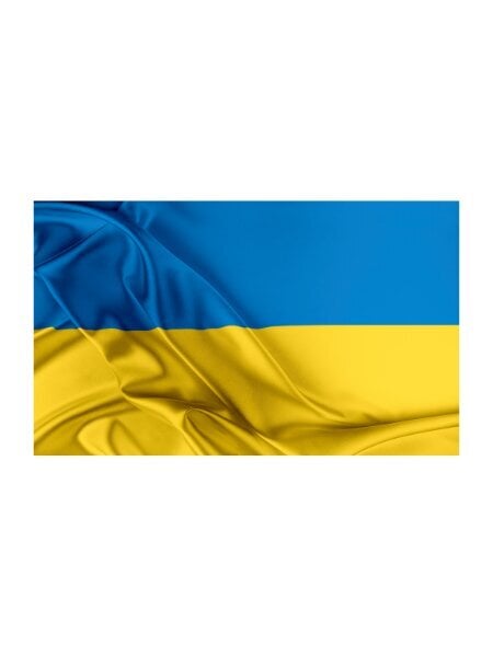Ukrainos vėliava, 90x150 cm цена и информация | Vėliavos ir jų priedai | pigu.lt