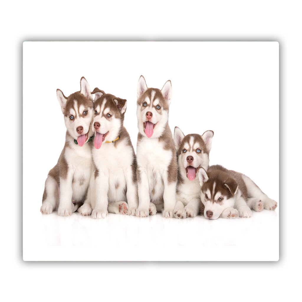Tulup pjaustymo lentelė Husky šuniukai, 60x52 cm kaina ir informacija | Pjaustymo lentelės | pigu.lt