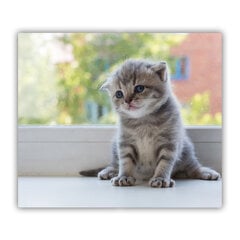 Tulup pjaustymo lentelė Mažas Cat langas, 60x52 cm kaina ir informacija | Pjaustymo lentelės | pigu.lt