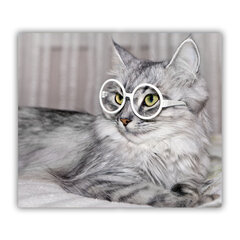 Tulup pjaustymo lentelė Katė su akiniais, 60x52 cm цена и информация | Разделочная доска | pigu.lt