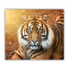 Tulup pjaustymo lentelė Bengališkas tigras, 60x52 cm kaina ir informacija | Pjaustymo lentelės | pigu.lt