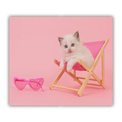 Tulup pjaustymo lentelė Katės denio kėdė, 60x52 cm kaina ir informacija | Pjaustymo lentelės | pigu.lt
