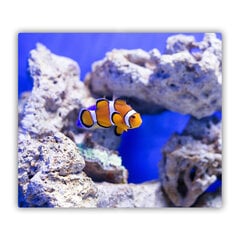 Tulup pjaustymo lentelė Nemo koralų rifas, 60x52 cm kaina ir informacija | Pjaustymo lentelės | pigu.lt