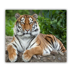 Tulup pjaustymo lentelė Sibirijos tigras, 60x52 cm kaina ir informacija | Pjaustymo lentelės | pigu.lt