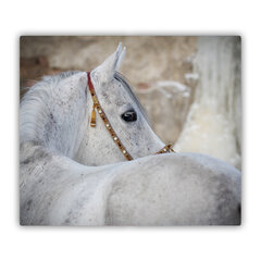 Tulup pjaustymo lentelė Arabiškas arklys, 60x52 cm kaina ir informacija | Pjaustymo lentelės | pigu.lt