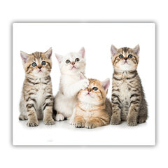 Tulup pjaustymo lentelė Mažos katės, 60x52 cm kaina ir informacija | Pjaustymo lentelės | pigu.lt