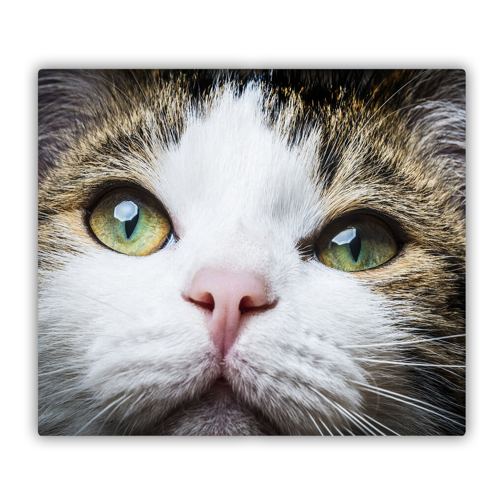Tulup pjaustymo lentelė Žalios katės akys, 60x52 cm kaina ir informacija | Pjaustymo lentelės | pigu.lt