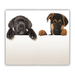 Tulup pjaustymo lentelė Trys šuniukai, 60x52 cm kaina ir informacija | Pjaustymo lentelės | pigu.lt