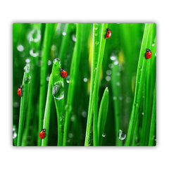 Tulup pjaustymo lentelė Mary Beetle žolė, 60x52 cm kaina ir informacija | Pjaustymo lentelės | pigu.lt