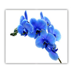Tulup pjaustymo lentelė Mėlyna orchidėja, 60x52 cm kaina ir informacija | Pjaustymo lentelės | pigu.lt