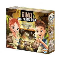 Rinkinys tyrinėjimui Dinozaurų staigmenų dėžutė” kaina ir informacija | Lavinamieji žaislai | pigu.lt