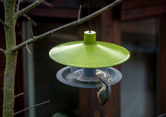 Paukščių lesyklėlė Finch, 28 cm kaina ir informacija | Inkilai, lesyklėlės, narvai | pigu.lt