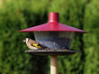 Paukščių lesyklėlė Finch, 28 cm kaina ir informacija | Inkilai, lesyklėlės, narvai | pigu.lt