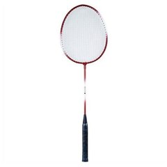 Badmintono rinkinys Redox R303 kaina ir informacija | Badmintonas | pigu.lt