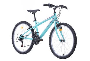 Велосипед женский 24'' ''TORINO'', тиффани синий цена и информация | Велосипеды | pigu.lt