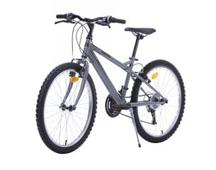 Велосипед мужской 24'' ''TORINO'', серый цена и информация | Велосипеды | pigu.lt