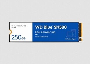 WD Blue SN580 WDS250G3B0E цена и информация | Внутренние жёсткие диски (HDD, SSD, Hybrid) | pigu.lt