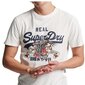 Marškinėliai vyrams Superdry m1011712a, smėlio spalvos цена и информация | Vyriški marškinėliai | pigu.lt