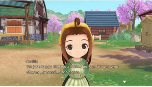 Story of Seasons: A Wonderful Life kaina ir informacija | Kompiuteriniai žaidimai | pigu.lt