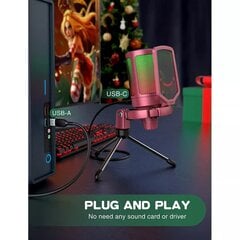 Микрофон Fifine AmpliGame A6V RGB для игр, белый цена и информация | Микрофоны | pigu.lt