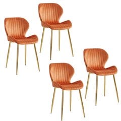 4-ių kėdžių komplektas Viking, Diana, vario kaina ir informacija | Virtuvės ir valgomojo kėdės | pigu.lt