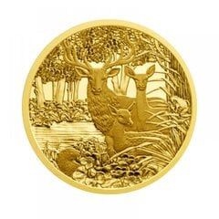 Kolekcinė 100 Eur moneta Taurusis elnias, auksinė kaina ir informacija | Numizmatika | pigu.lt